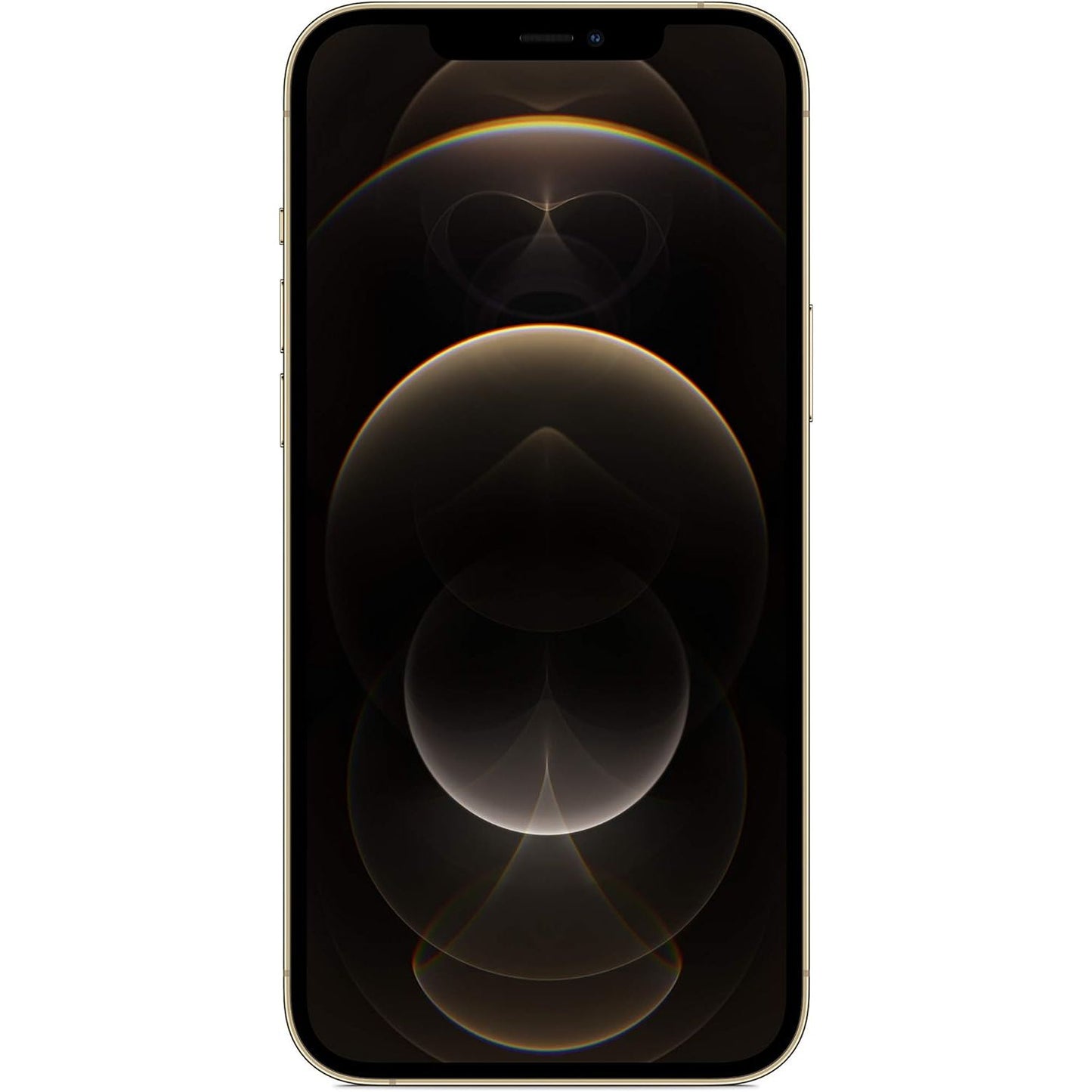 iPhone 12 Pro Max | 256 GB | Oro
