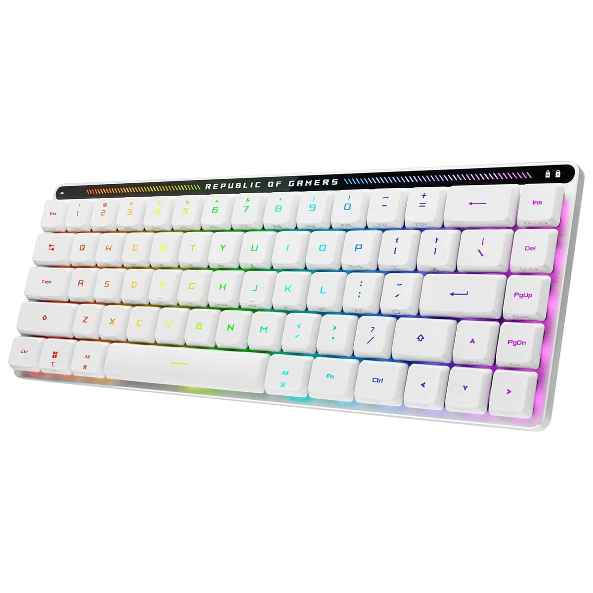 ASUS ROG Falchion RX Low Profile | Tastiera 65% | Wireless | Layout ITA