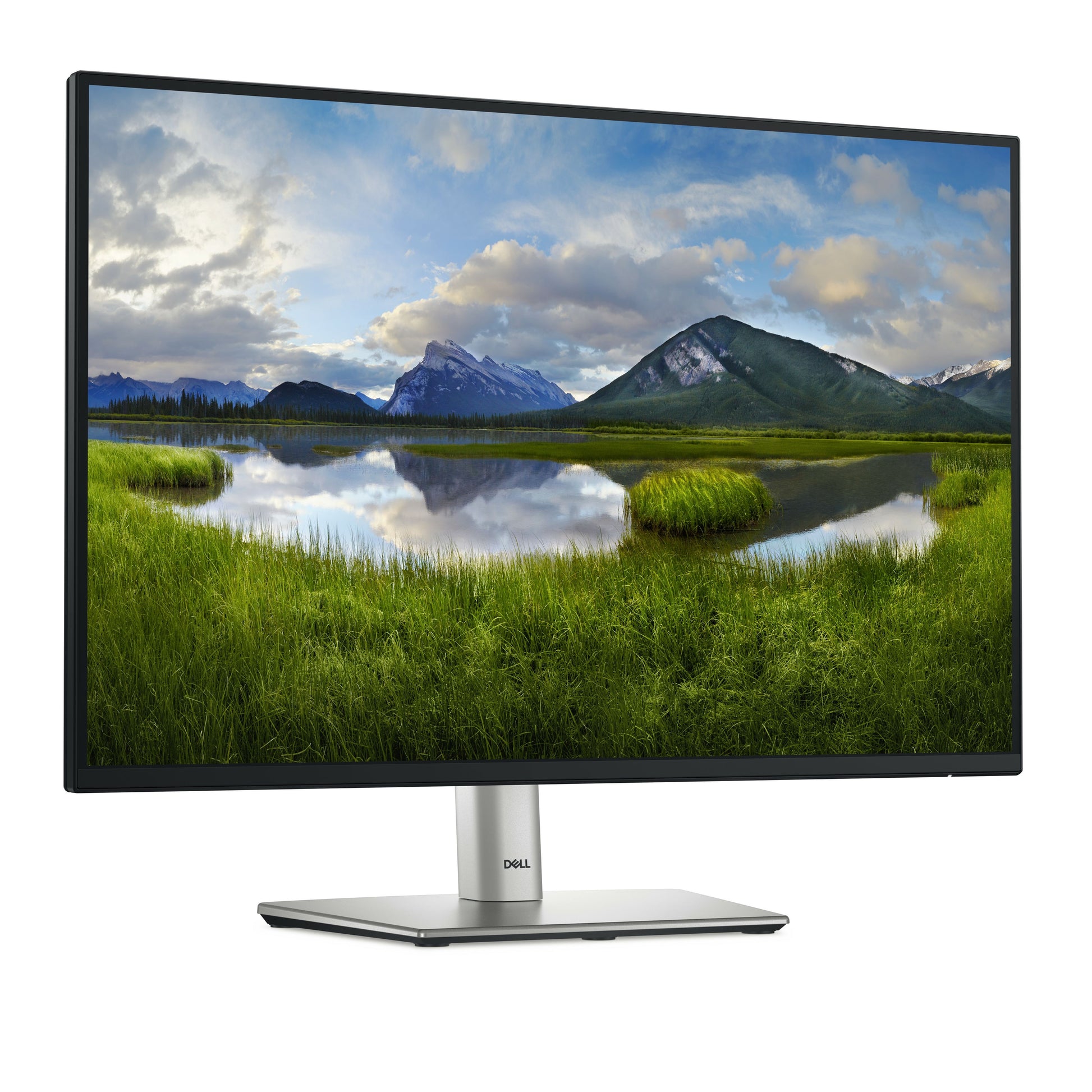 DELL P2425 monitor 24 dettaglio