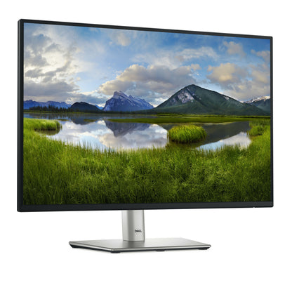 DELL P2425 monitor 24 dettaglio