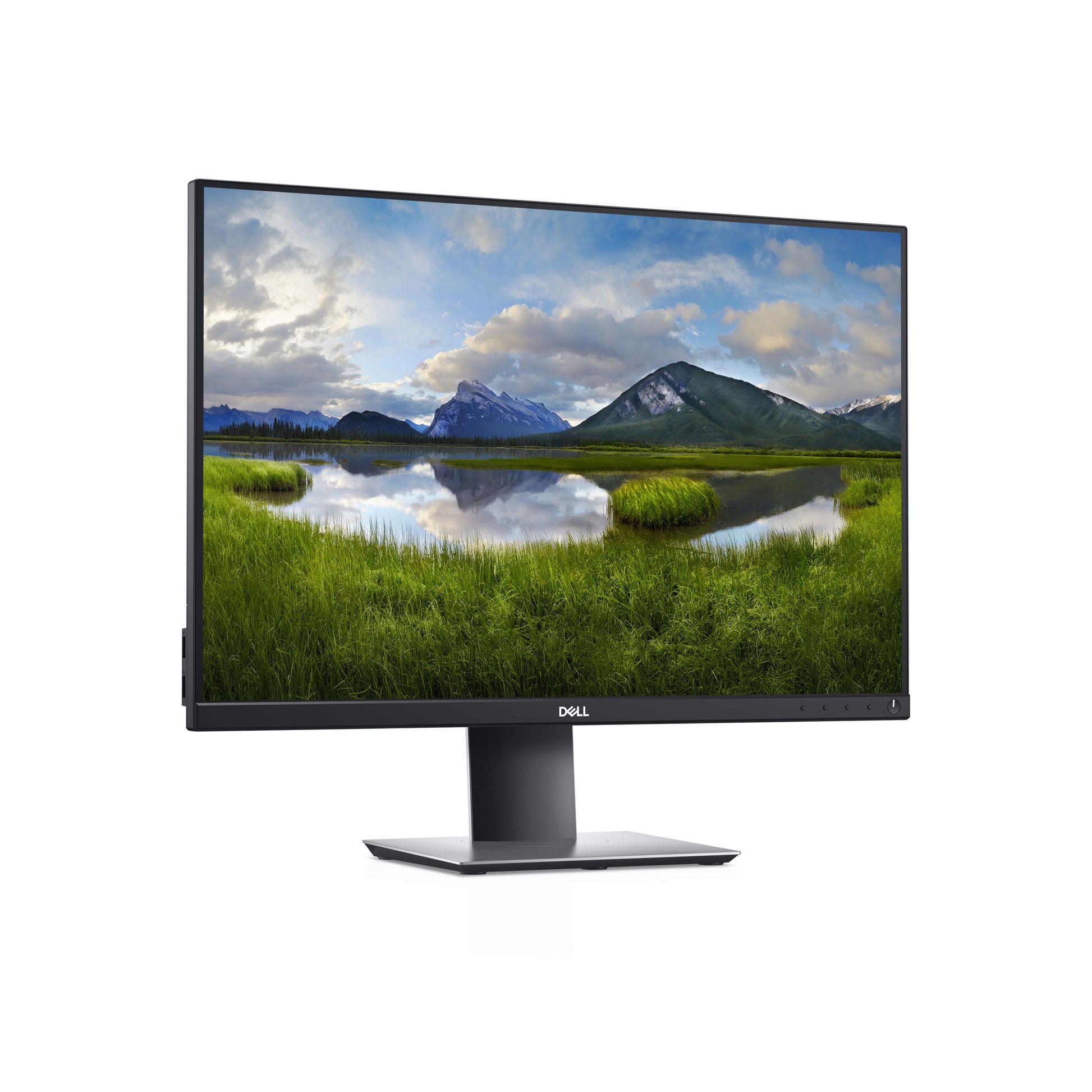DELL P2421 monitor 24 dettaglio