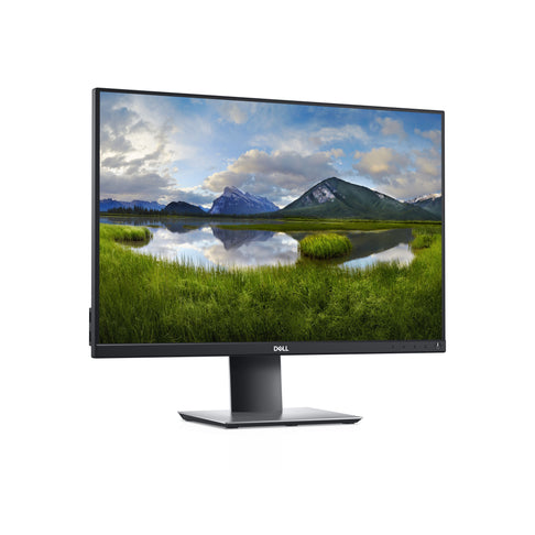 DELL P2421 monitor 24 dettaglio