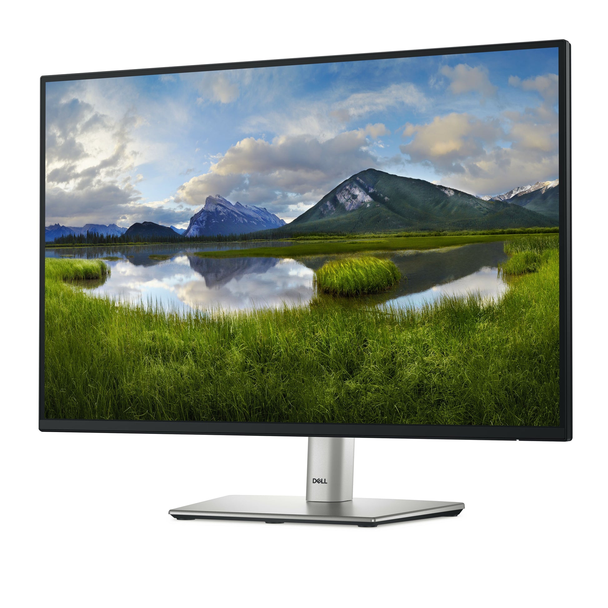 DELL P2425 monitor 24