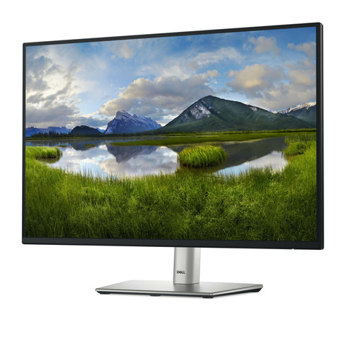 DELL P2425 monitor 24