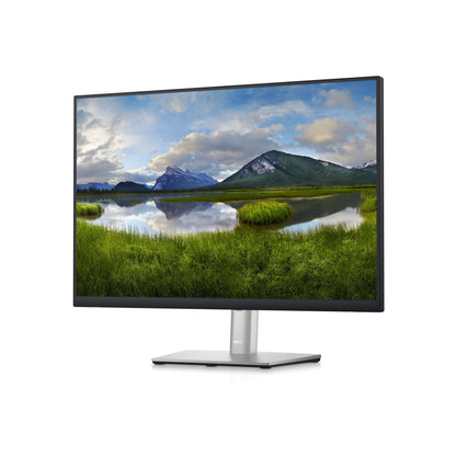 DELL P2423 monitor 24