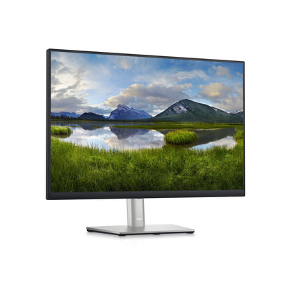 DELL P2423 monitor 24 dettaglio